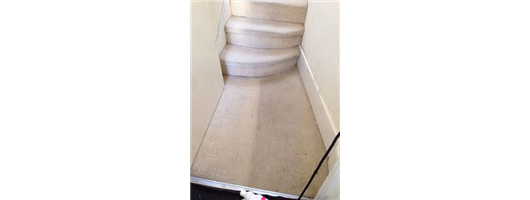 Steam Carpet Cleaning