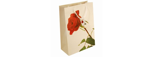 Medium Red Rose Paper Bags with Gift Tag