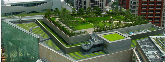 Green Roofing