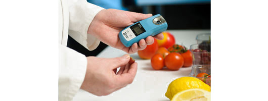 Bellingham + Stanley; OPTi refractometer fruit testing