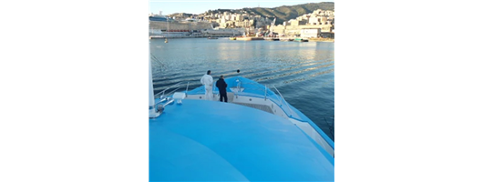 Marine Protective Coatings