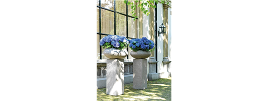 Hydrangea in Division Fiber planters