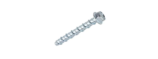 Speed Bump Fixing Coach Screw