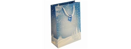 Christmas Gift Bags