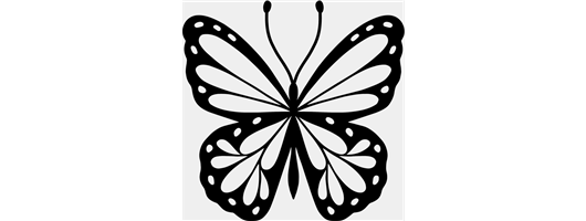 Butterfly Design