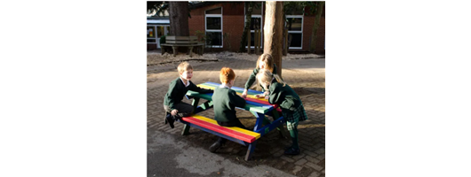 Junior Height Picnic Bench