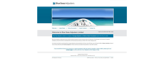 Blue Seas Adjusters