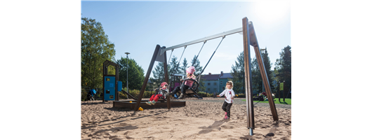 Swings & Ziplines