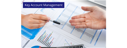 Key Account Management 