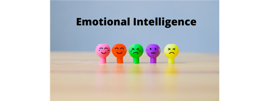 Emotional Intelligence