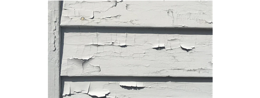 Lead Paint Surveys & Lead Services