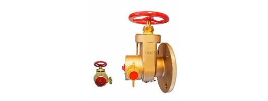 Dry Riser Valves 