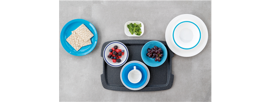 Virtually Unbreakable Plastic Tableware