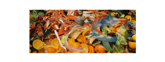  Food Waste Management