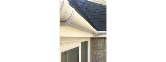 Gutter Cleaning