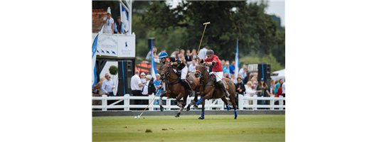 Equestrian Fencing