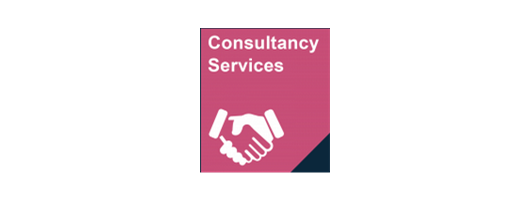 Consultancy Services