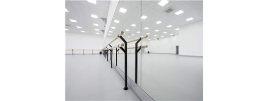  Dance Mirrors 