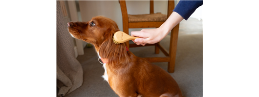 Laptop Brush