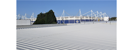 Roof Coating