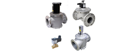 Natural Gas & BioGas Valves