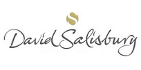 davidsalisbury_logo