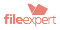 fileexpert_logo