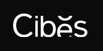 cibes lift uk 001