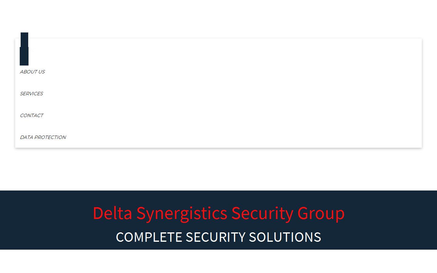 Delta Synergistics Security Systems Ltd Website