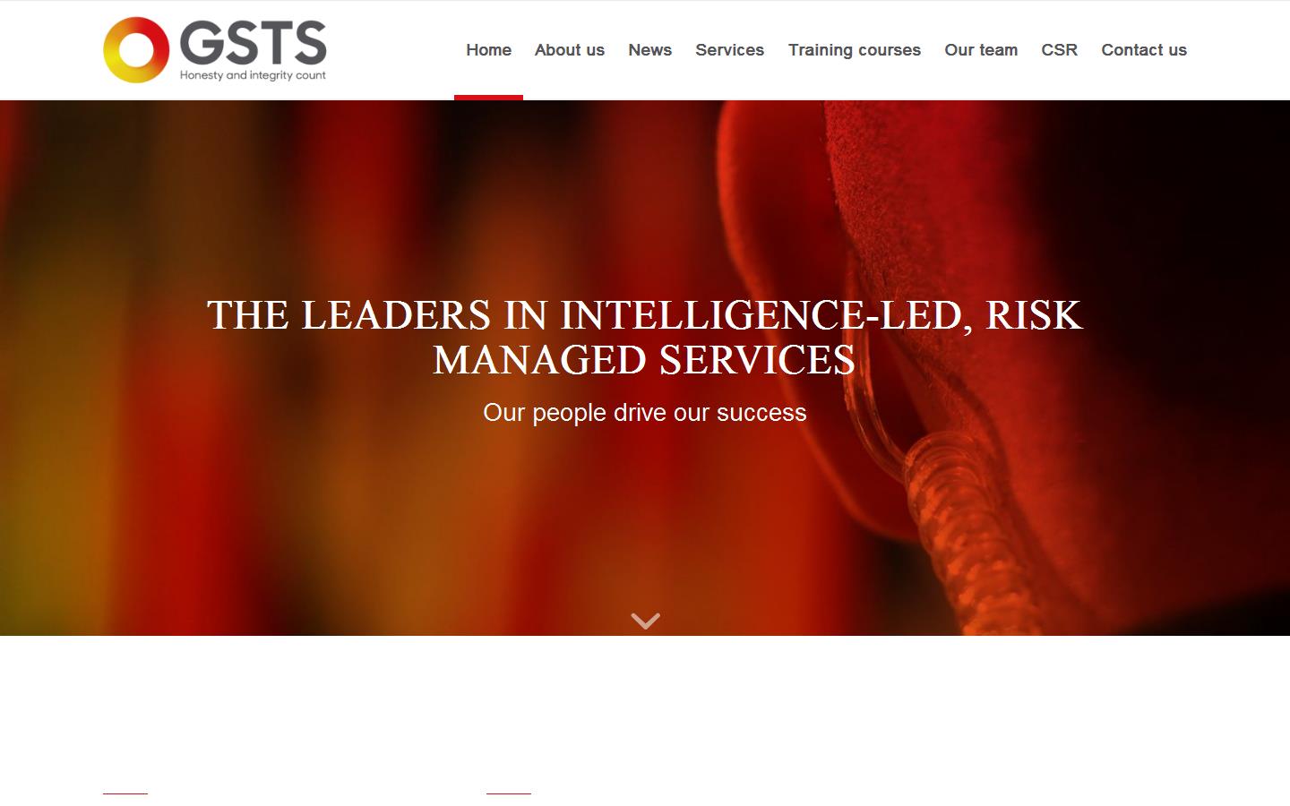 G S T S Ltd Website