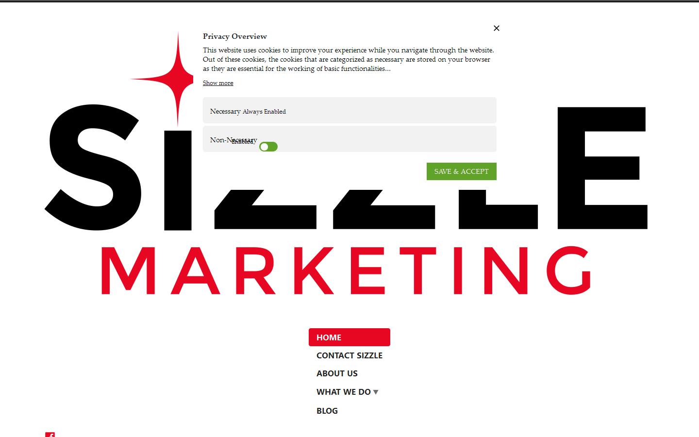 Sizzle Marketing Consultancy Website