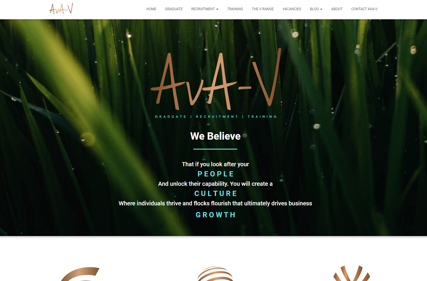 AvA-V Website