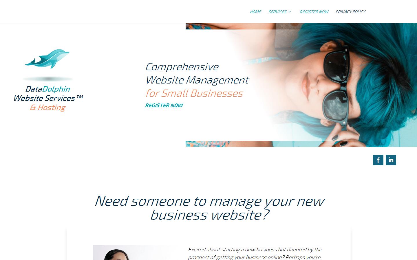 DataDolphin Website Services Website