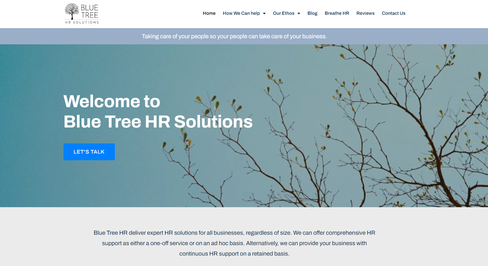 Blue Tree HR Solutions Website