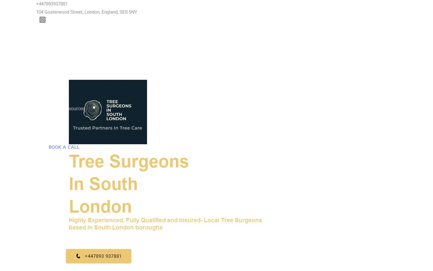 Tree Surgeons In South London Website