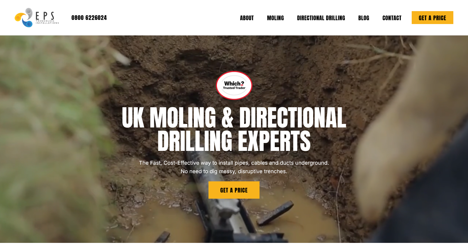 Moling Solutions Website