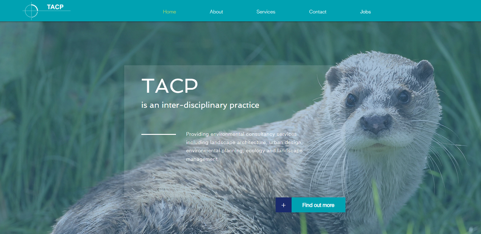 TACP UK Ltd Website