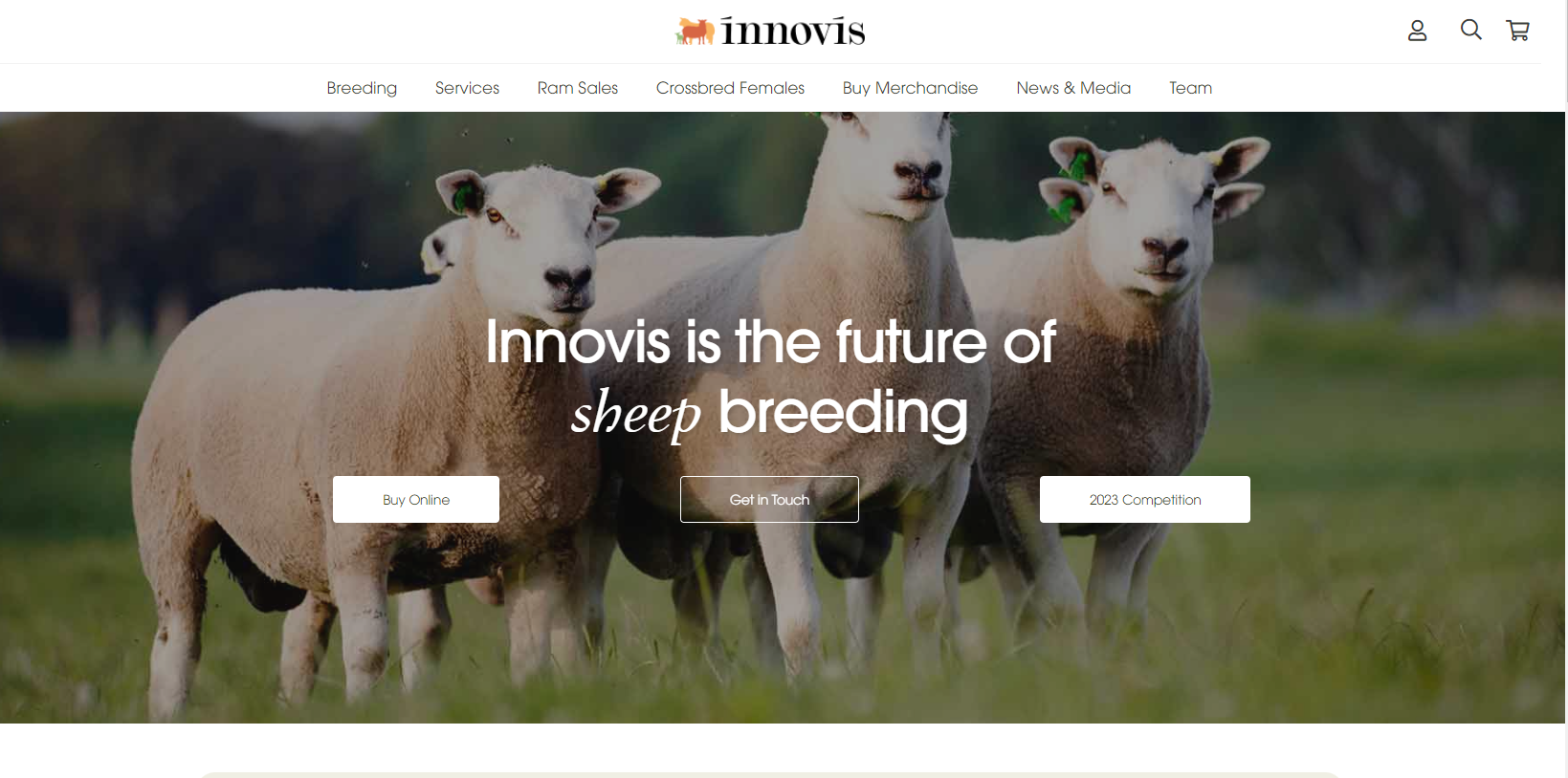 Innovis Ltd Website