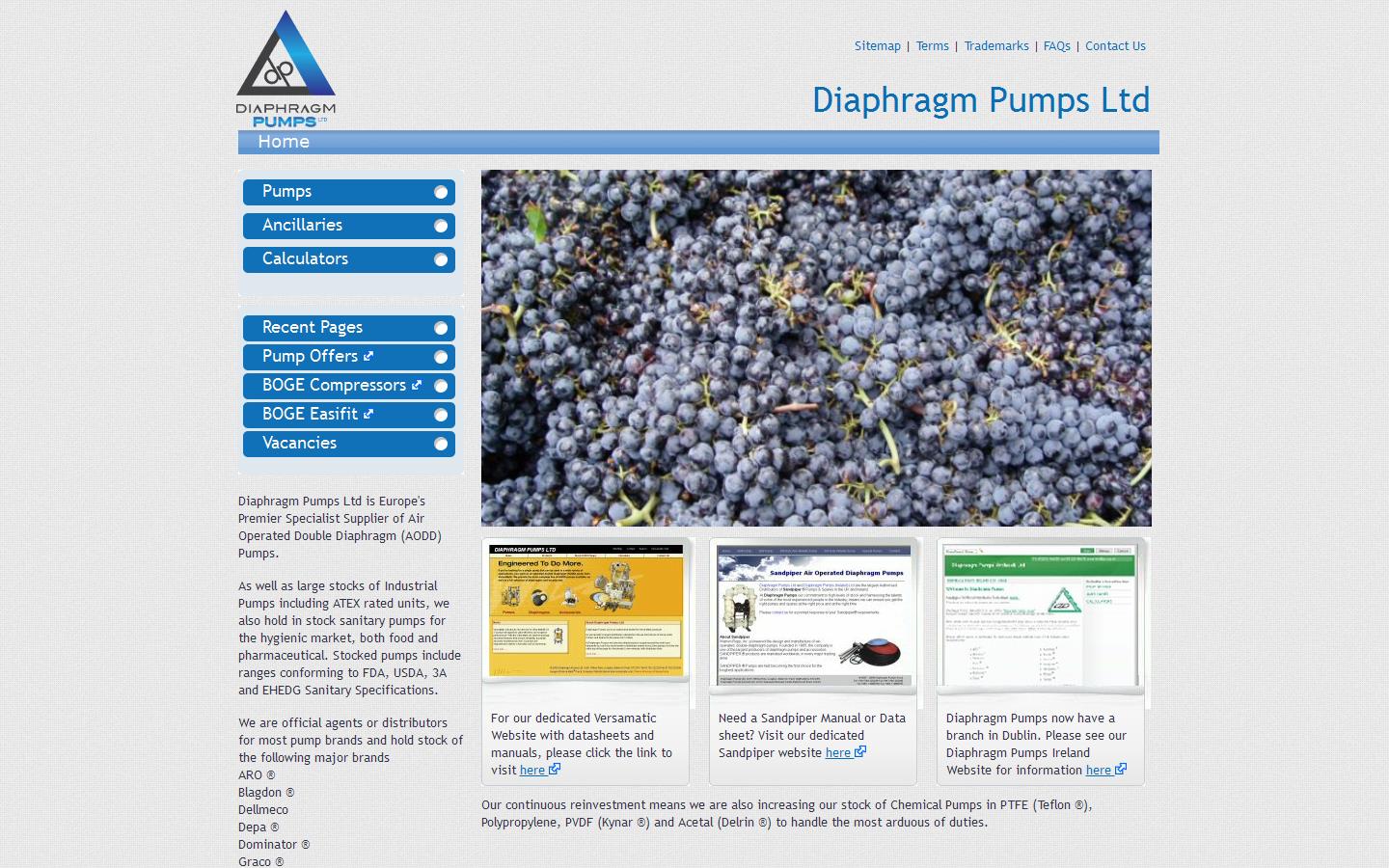 Diaphragm Pumps Ltd Website