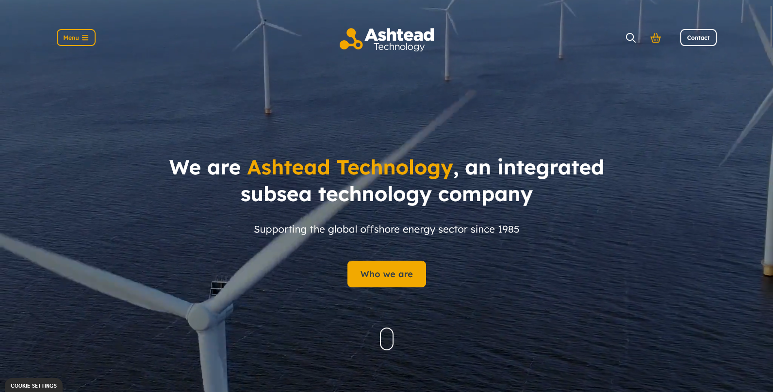 Ashtead Technology Ltd Website