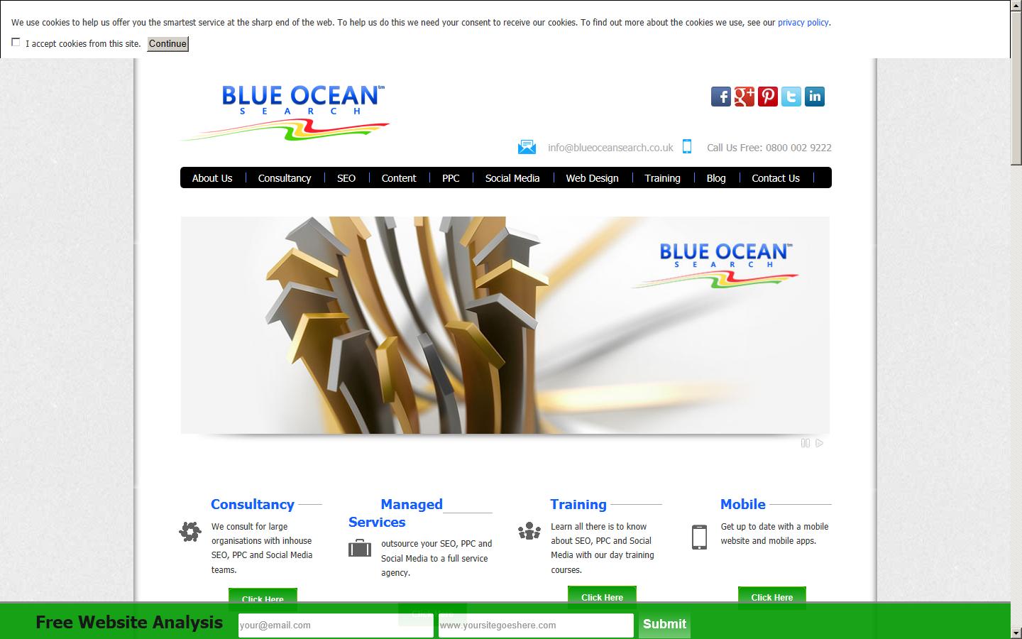 Blue Ocean Search Website