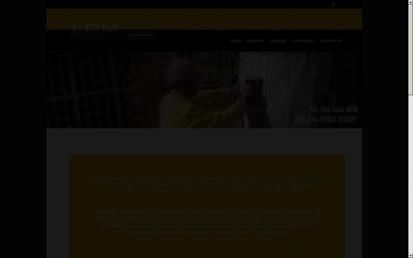 LDM Scanning Ltd Website