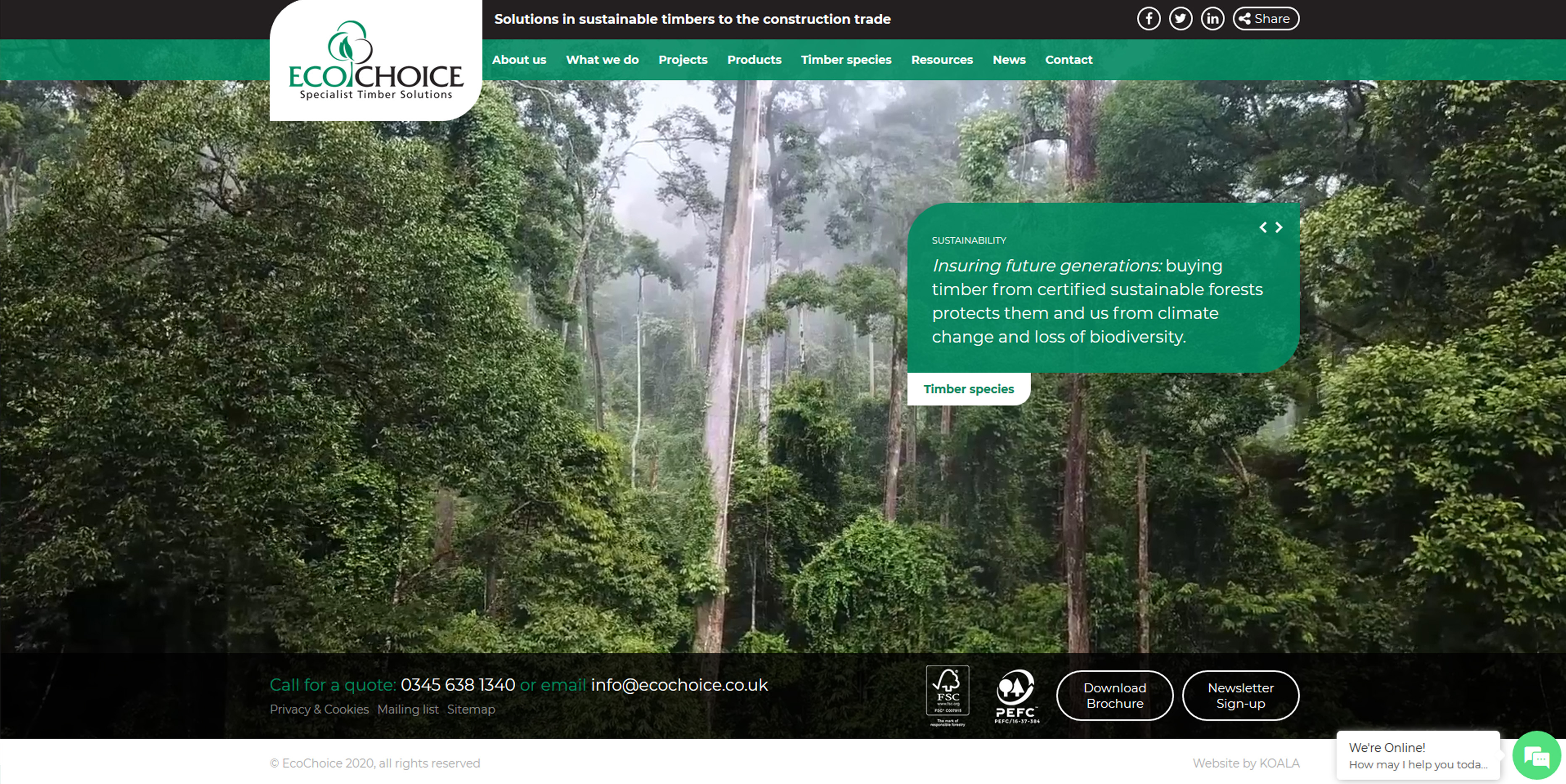 Ecochoice Website