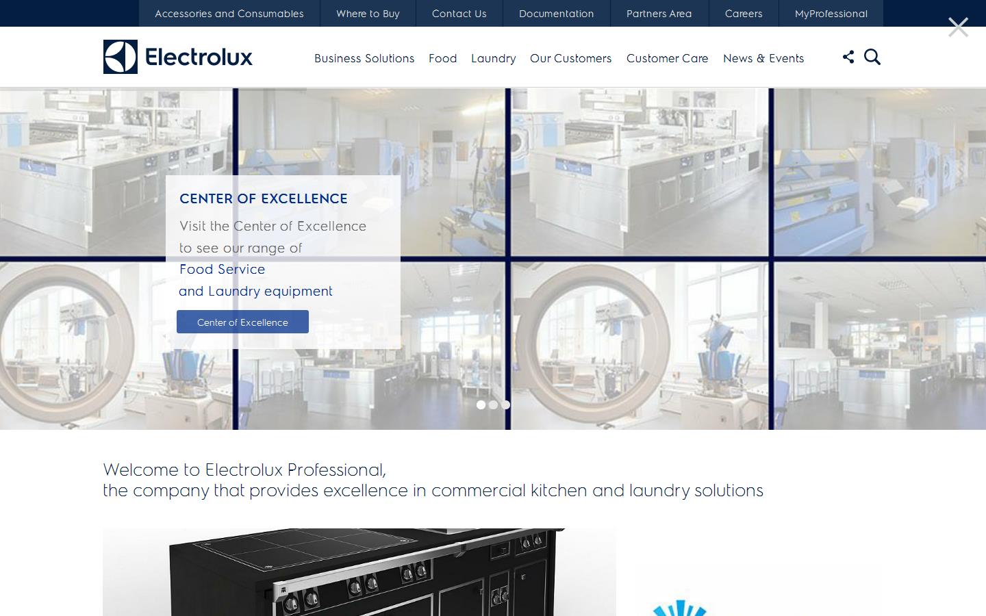 Electrolux Professional Website