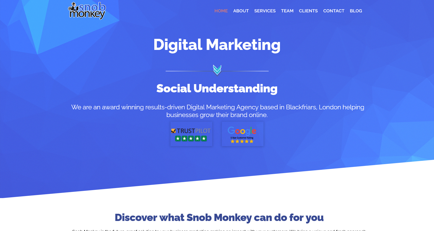 Snob Monkey Ltd Website