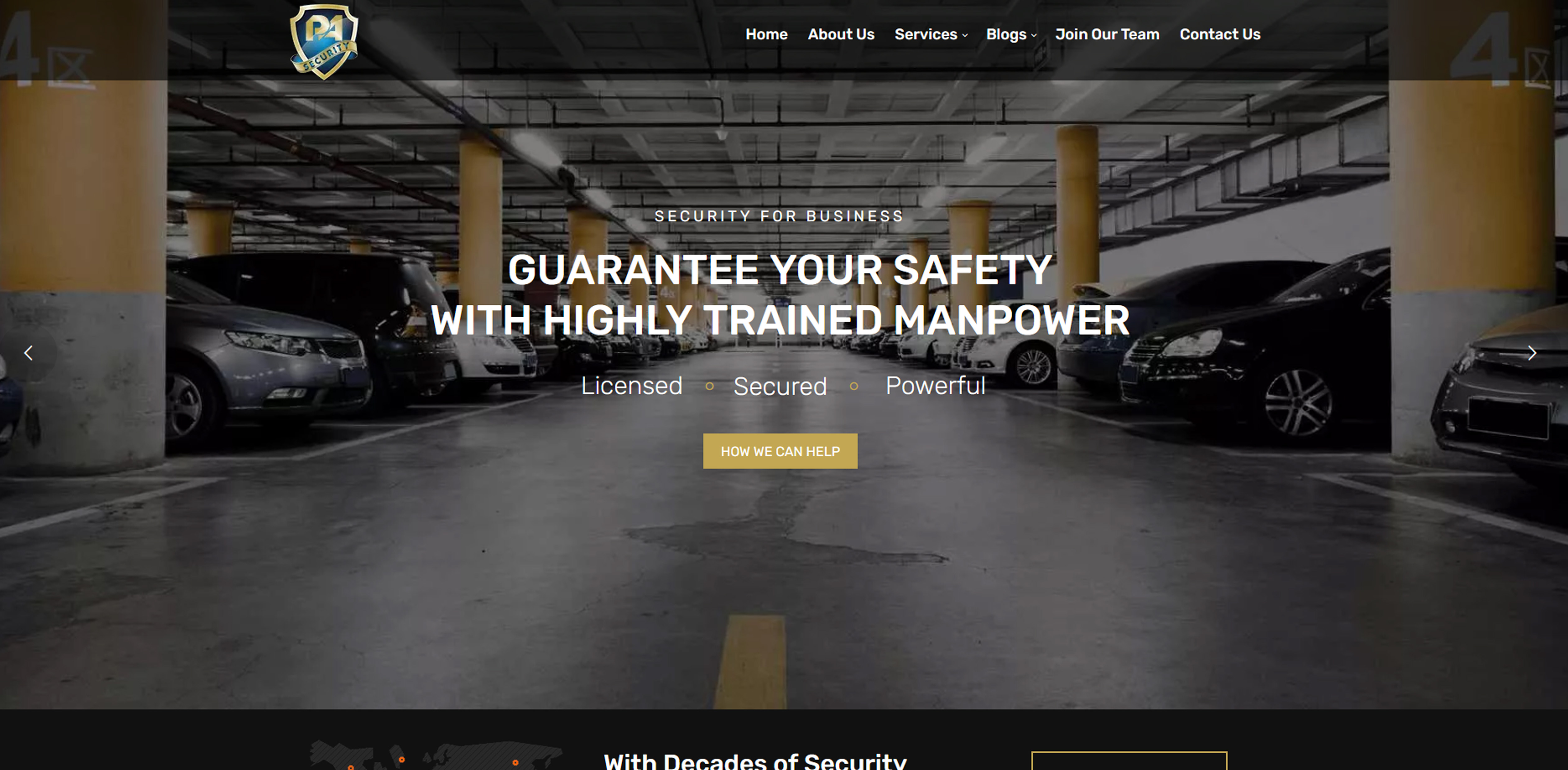 Professional Alert Security Ltd Website