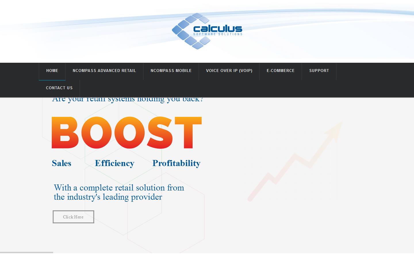 Calculus Software Solutions Ltd Website