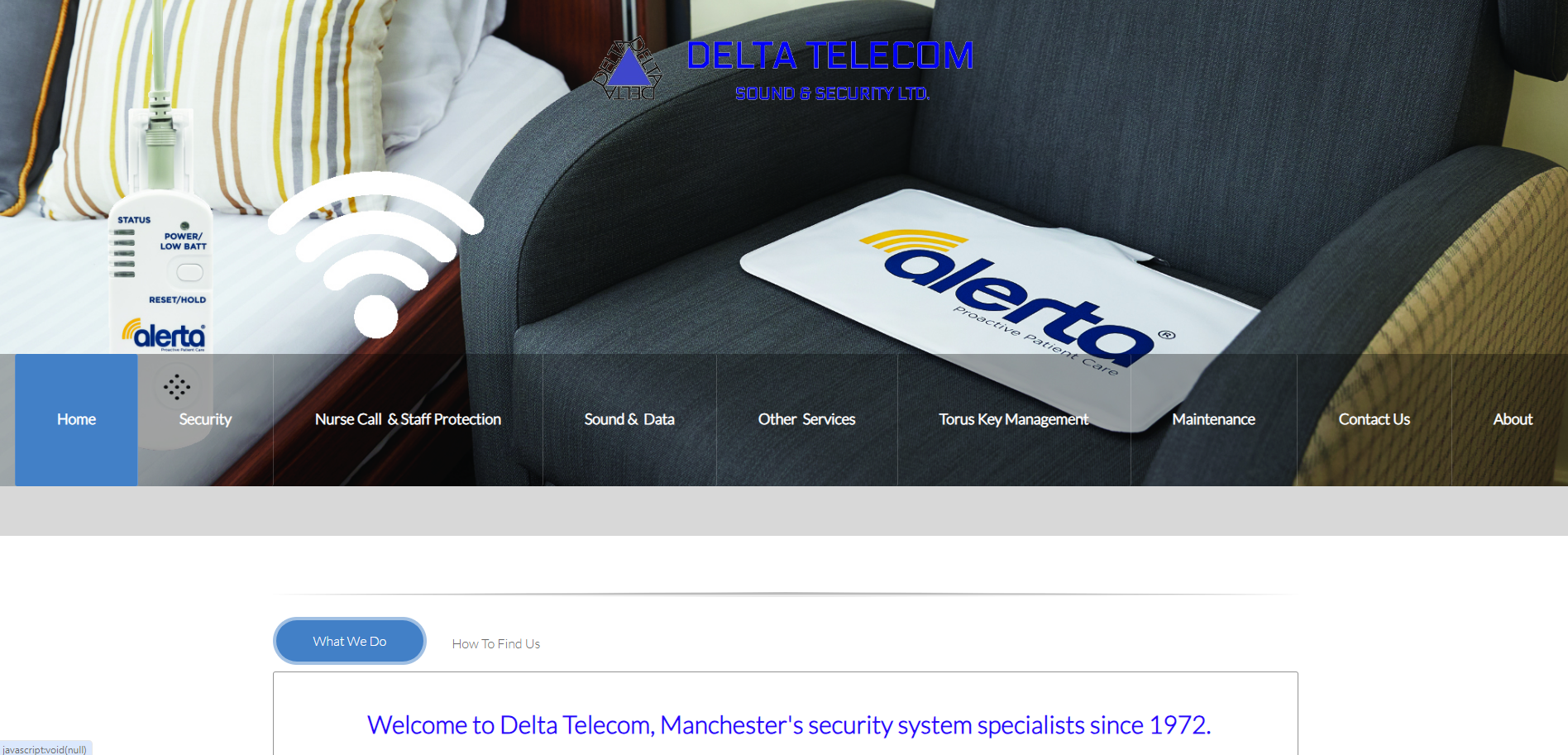 Delta Telecom Sound & Security Ltd Website