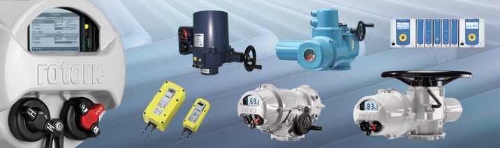 Electric Actuators