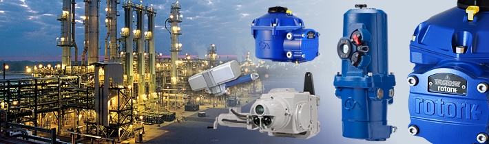 Process Control Actuators